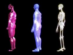 Human body Stock Footage