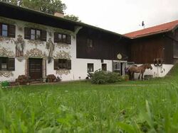 woman washes horse Stock Footage
