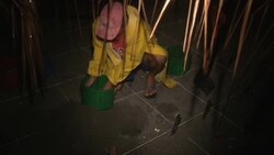 Tourists pay to help release baby turtles News Clip