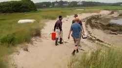 Crabs Put The Pinch On Marshlands Instructional Video