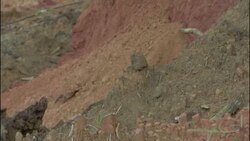 Tree and vegetation roots poke through clay after deforestation in Brazil. Stock Footage