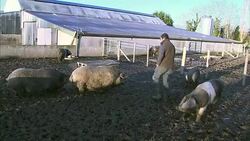 'Game of Thrones' Helping Local Businesses in Northern Ireland News Clip