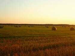 Hay Bales At Sunset Stock Footage