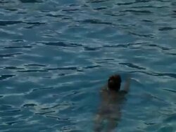 Swimming Through Frame Stock Footage