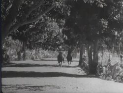 Horse racing at the festive Roti Stock Footage