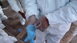 CLEAN: Forensic workers remove bodies from Honduran prison blaze News Clip