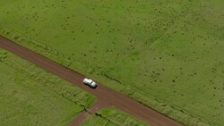 Big Island, Hawaii - November 8, 2010: A vintage 1937 Buick Special Business Coupe, model 46, drives through green pastureland on a dirt road. Stock Footage