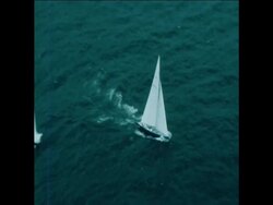 SYND 21 8 80 AMERICAS CUP YACHT RACE FINALS News Clip