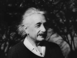 Albert Einstein in the countryside Stock Footage