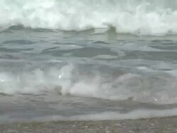 Ocean Waves and Sea Shells Stock Footage