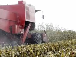 Combine harvester Stock Footage