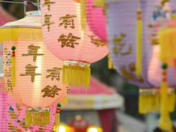 Chinese Lantern Stock Footage
