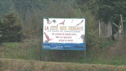 CLEAN : France jihadist attack: site of the first murder News Clip