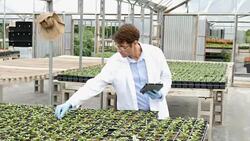 Professional scientist studying plant life in greenhouse laboratory Stock Footage