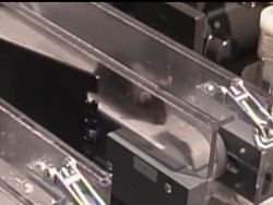 Is this for real? Scientists say a new pill is producing dramatic results...at least, in mice. News Clip