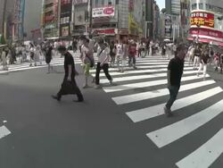 T/L,Shinjuku,Tokyo,Japan Stock Footage