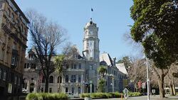 Auckland Art Gallery Stock Footage
