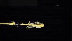 Beverage splash on black background Stock Footage