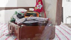 Bedbugs Are Awful, but They're Unlikely to Give You a Disease Instructional Video