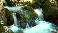 Beautiful Mountain Stream Stock Footage