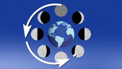 Lunar Cycle Instructional Video