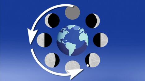 Lunar Cycle
