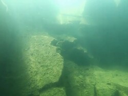 Freediver watching couple of perch underwater Stock Footage