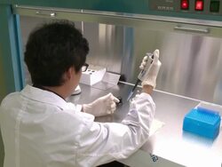 A researcher experiment something at the laboratory using by pipette Stock Footage
