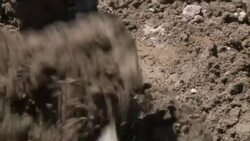 VOICED : Mexico: la busqueda por mano propia News Clip