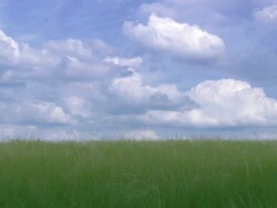 Clouds and Grass HD, NTSC, PAL Stock Footage