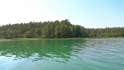 Forest and lake landscape Stock Footage