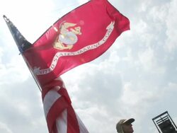 US Marine Flag at Audit the IRS rally in DC Stock Footage