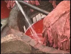 Red Dye for Leather in Vats: Fez, Morocco Stock Footage