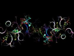 Growing Flowers Stock Footage