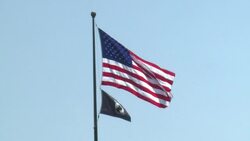 CLEAN : Crowds swell Washington to mark I have News Clip