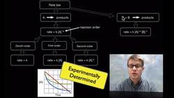 The Rate Law Instructional Video