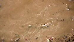 Avalanche mire Stock Footage