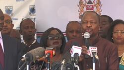 Kenya allows one plane to fly home Italians News Clip