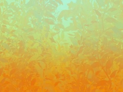 Sunny Grass HD Stock Footage