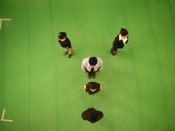 Business people forming alphabet Y Stock Footage