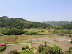 WS PAN View of Rice paddy of Chugoku Mountains in early summer / Hiroshima, Hiroshima Prefecture, Japan Stock Footage