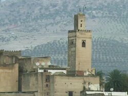 WS View of mosque tower and hills covering by olive trees / Fez, Fes-Boulemane, Morocco Stock Footage