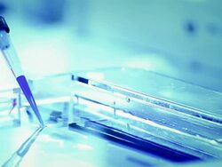 Scientist and bio lab experiment Stock Footage