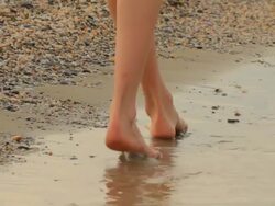 seashore Stock Footage