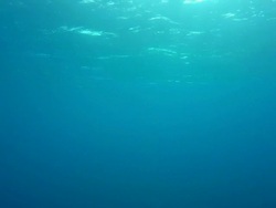 Underwater sun Stock Footage