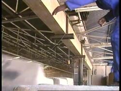 ZIMBABWE: HARARE: TOBACCO HARVEST DISRUPTED News Clip