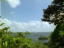 WA ship in Panama canal, moves left to right, trees in foreground. Stock Footage