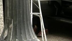 Raw: Hastert Arrives At Court For Sentencing Instructional Video