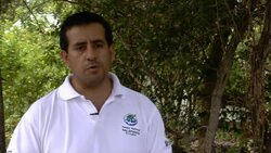 Galapagos' new star tortoise takes centre stage after death of 'Lonesome George' Instructional Video