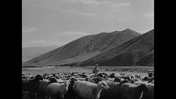 MOT 1951: Mountains sheep shephard Instructional Video